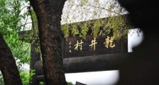 杭州买龙井茶攻略，怎么买到正宗的西湖龙井？