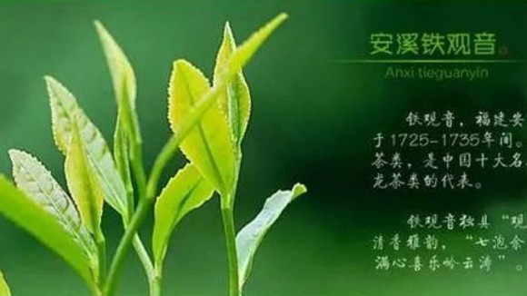 铁观音茶叶的名字是怎么来的?