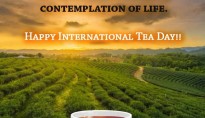 世界对“茶”的独家告白:2020年5月21日,全球茶人迎来联合国确立的首个国际茶日 世界对“茶”的独家告白:2020年5月21日,全球茶人迎来联合国确立的首个国际茶日