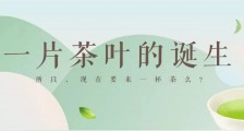 茶:一片树叶的故事 --- 以图说茶,讲透中国茶叶的前世今生,太经典了!