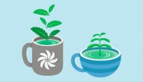 为什么喜欢喝茶的人看起来比同龄人更年轻?科学家为你揭开其中的奥秘:茶多酚的抗氧化作用 为什么喜欢喝茶的人看起来比同龄人更年轻?科学家为你揭开其中的奥秘:茶多酚的抗氧化作用