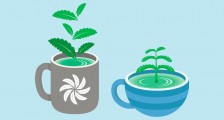 为什么喜欢喝茶的人看起来比同龄人更年轻?科学家为你揭开其中的奥秘:茶多酚的抗氧化作用