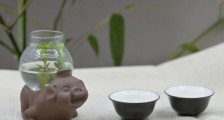 正确泡茶13个流程,新手从零开始学泡茶的步骤