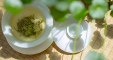 茉莉花茶6种人不要喝,什么体质不适合喝茉莉花茶?