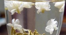 茉莉泡水禁忌,茉莉干花泡水的功效与禁忌