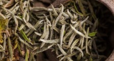 福鼎白茶要喝老的吗,为什么喝白茶要喝老茶存新茶?