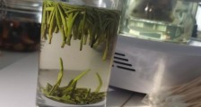 金坛雀舌算不算好茶,金坛雀舌属于什么档次茶叶?