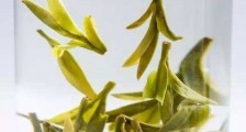 乌牛早和龙井的区别图片,龙井43号和乌牛早茶的对比
