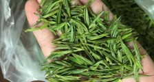 什么绿茶茶叶唇齿留香,哪个品种绿茶香气好?