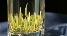 黄茶是什么茶,有哪些品种名称