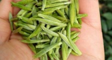 什么绿茶味道浓香,那个绿茶比较浓香?