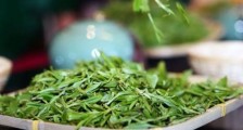 单枞茶什么季节最好喝,凤凰单丛茶春茶好还是秋茶好?