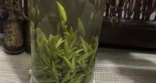 金坛雀舌什么档次,金坛雀舌算不算好茶?