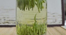 雀舌和竹叶青的区别,雀舌对比竹叶青图片