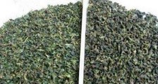 如何区分新茶与陈茶?