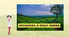 绿茶有哪些品种?