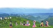 解码新昌全域旅游系列报道之加深茶旅融合,给你一杯深山的自在