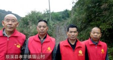 秋收摘茶子 解农户之愁
