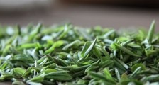 雨花茶是绿茶吗?特点是什么?