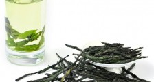 夏日的饮茶选择——苦丁茶