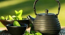 什么季节喝什么茶