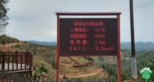 河源紫金:千亩茶谷铺就绿色小康路