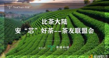 欢聚一堂 比茶大陆安“芯”好茶茶友联盟会完美落幕