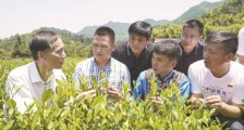 安徽退役军人帮汶川小伙结茶亲