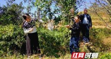 “要做科技的茶”——女博士的茶园记
