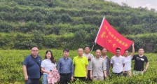 省州科技专家服务团深入湖南湘西山江镇古塘村助力产业发展