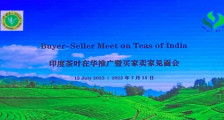 中农促茶产业分会国际部主任唐亚萍出席印度茶叶在华推广暨买家卖家见面会